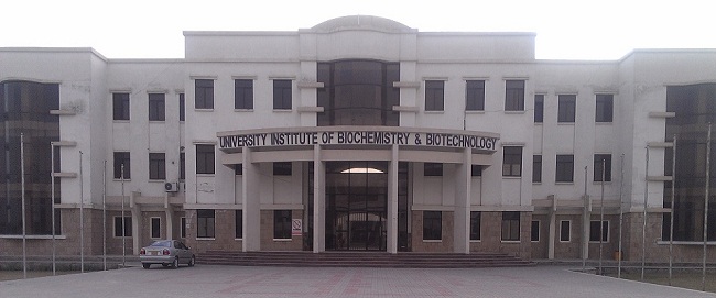 university